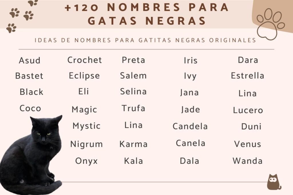 nombres para gatas negras