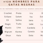 nombres para gatas negras