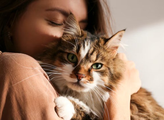 los gatos absorben las enfermedades de sus dueños