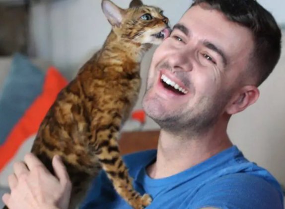porque mi gato me lame la cara